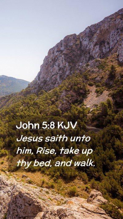 Picture 02 - John 5:8 KJV Mobile Phone Wallpaper - Jesus saith unto him, Rise, take up thy bed, and - Mobile Bible Verse Wallpaper