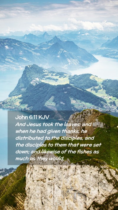Picture 02 - John 6:11 KJV Mobile Phone Wallpaper - And Jesus took the loaves; and when he had given - Mobile Bible Verse Wallpaper