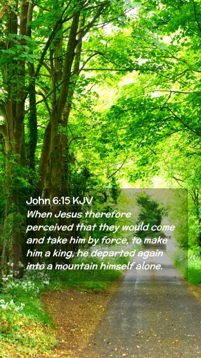Picture 02 - John 6:15 KJV Mobile Phone Wallpaper - When Jesus therefore perceived that they would - Mobile Bible Verse Wallpaper