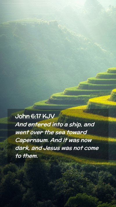 Picture 02 - John 6:17 KJV Mobile Phone Wallpaper - And entered into a ship, and went over the sea - Mobile Bible Verse Wallpaper