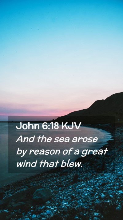 Picture 02 - John 6:18 KJV Mobile Phone Wallpaper - And the sea arose by reason of a great wind that - Mobile Bible Verse Wallpaper