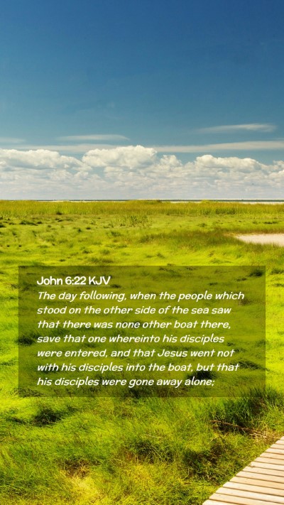 Picture 02 - John 6:22 KJV Mobile Phone Wallpaper - The day following, when the people which stood on - Mobile Bible Verse Wallpaper