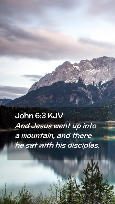 Picture 02 - John 6:3 KJV Mobile Phone Wallpaper - And Jesus went up into a mountain, and there he - Mobile Bible Verse Wallpaper