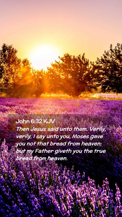 Picture 02 - John 6:32 KJV Mobile Phone Wallpaper - Then Jesus said unto them, Verily, verily, I say - Mobile Bible Verse Wallpaper