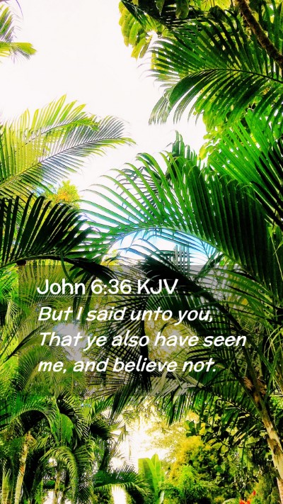 Picture 02 - John 6:36 KJV Mobile Phone Wallpaper - But I said unto you, That ye also have seen me, - Mobile Bible Verse Wallpaper