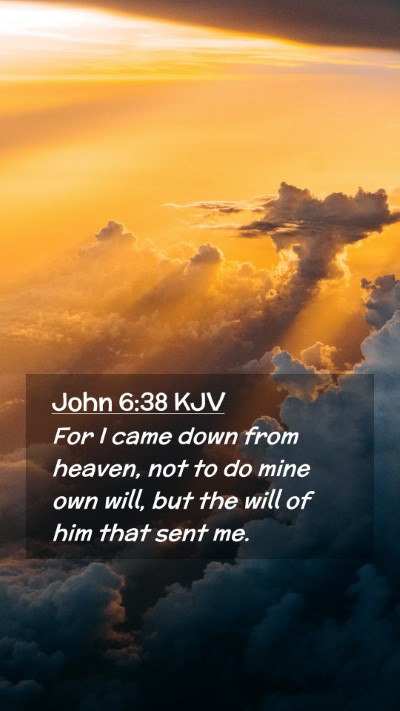 Picture 02 - John 6:38 KJV Mobile Phone Wallpaper - For I came down from heaven, not to do mine own - Mobile Bible Verse Wallpaper