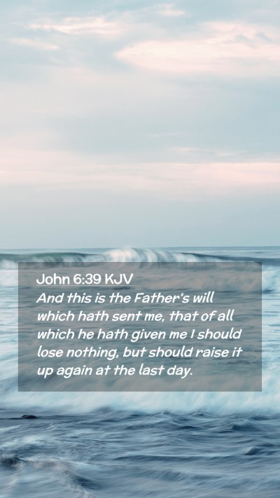 Picture 02 - John 6:39 KJV Mobile Phone Wallpaper - And this is the Father's will which hath sent me, - Mobile Bible Verse Wallpaper
