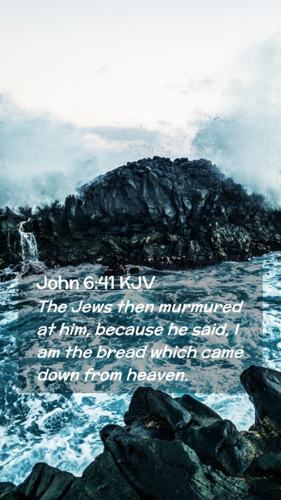 Picture 02 - John 6:41 KJV Mobile Phone Wallpaper - The Jews then murmured at him, because he said, I - Mobile Bible Verse Wallpaper