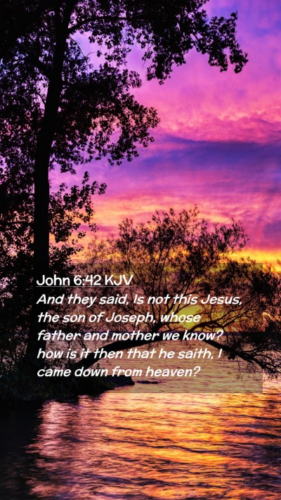 Picture 02 - John 6:42 KJV Mobile Phone Wallpaper - And they said, Is not this Jesus, the son of - Mobile Bible Verse Wallpaper