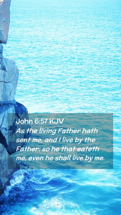 Picture 02 - John 6:57 KJV Mobile Phone Wallpaper - As the living Father hath sent me, and I live by - Mobile Bible Verse Wallpaper