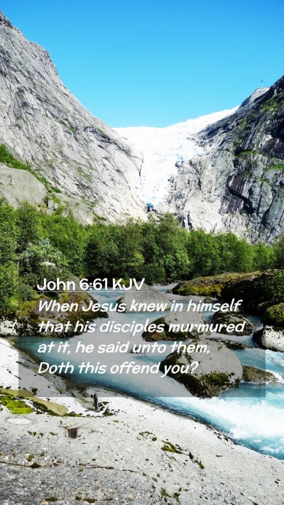 Picture 02 - John 6:61 KJV Mobile Phone Wallpaper - When Jesus knew in himself that his disciples - Mobile Bible Verse Wallpaper