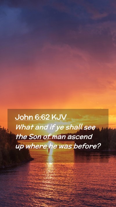 Picture 02 - John 6:62 KJV Mobile Phone Wallpaper - What and if ye shall see the Son of man ascend up - Mobile Bible Verse Wallpaper