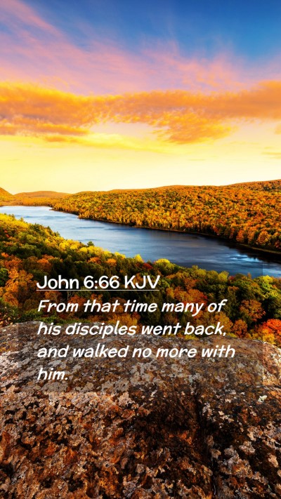 Picture 02 - John 6:66 KJV Mobile Phone Wallpaper - From that time many of his disciples went back, - Mobile Bible Verse Wallpaper