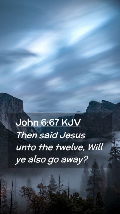 Picture 02 - John 6:67 KJV Mobile Phone Wallpaper - Then said Jesus unto the twelve, Will ye also go - Mobile Bible Verse Wallpaper