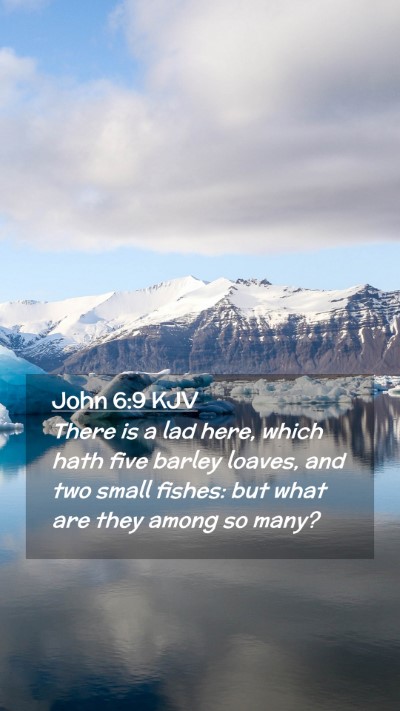 Picture 02 - John 6:9 KJV Mobile Phone Wallpaper - There is a lad here, which hath five barley - Mobile Bible Verse Wallpaper