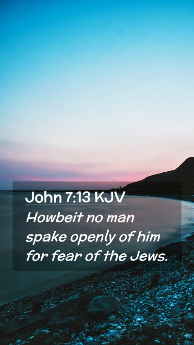 Picture 02 - John 7:13 KJV Mobile Phone Wallpaper - Howbeit no man spake openly of him for fear of - Mobile Bible Verse Wallpaper