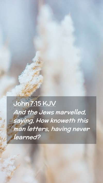 Picture 02 - John 7:15 KJV Mobile Phone Wallpaper - And the Jews marvelled, saying, How knoweth this - Mobile Bible Verse Wallpaper