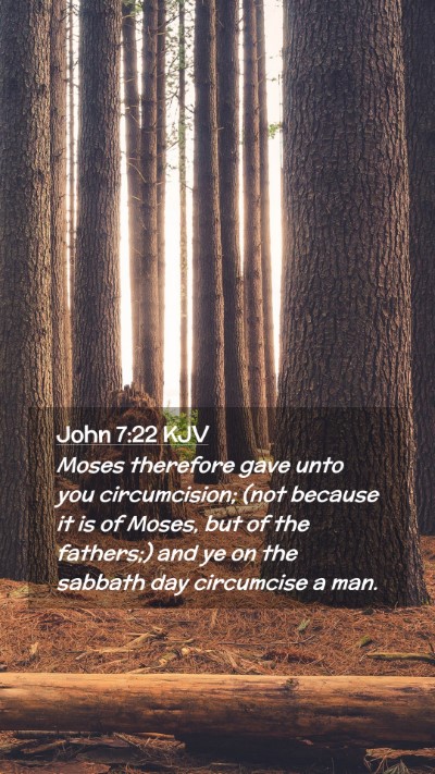 Picture 02 - John 7:22 KJV Mobile Phone Wallpaper - Moses therefore gave unto you circumcision; (not - Mobile Bible Verse Wallpaper