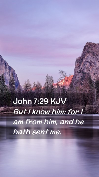 Picture 02 - John 7:29 KJV Mobile Phone Wallpaper - But I know him: for I am from him, and he hath - Mobile Bible Verse Wallpaper