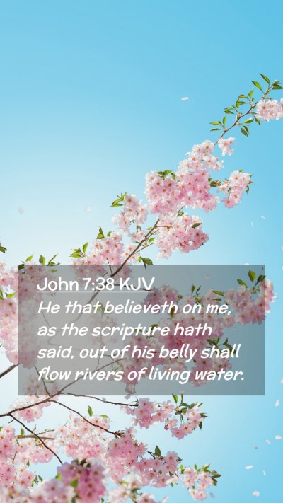 Picture 02 - John 7:38 KJV Mobile Phone Wallpaper - He that believeth on me, as the scripture hath - Mobile Bible Verse Wallpaper
