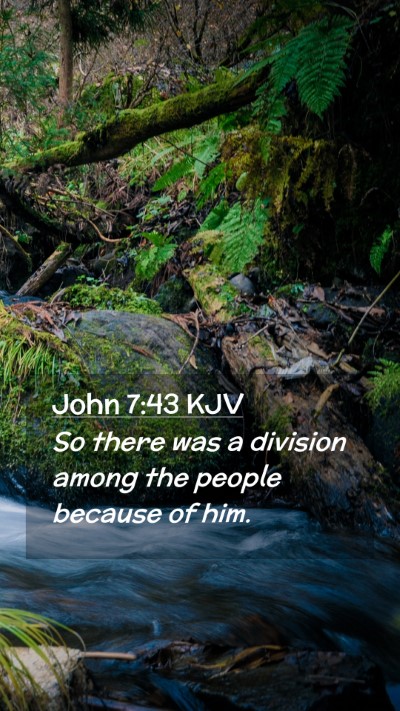 Picture 02 - John 7:43 KJV Mobile Phone Wallpaper - So there was a division among the people because - Mobile Bible Verse Wallpaper