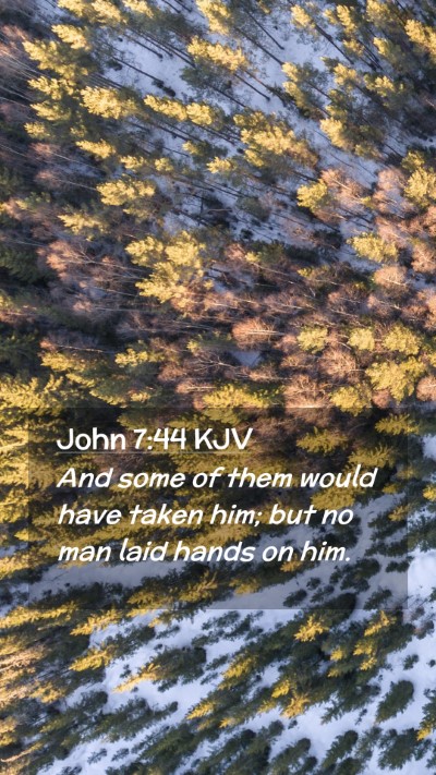 Picture 02 - John 7:44 KJV Mobile Phone Wallpaper - And some of them would have taken him; but no man - Mobile Bible Verse Wallpaper