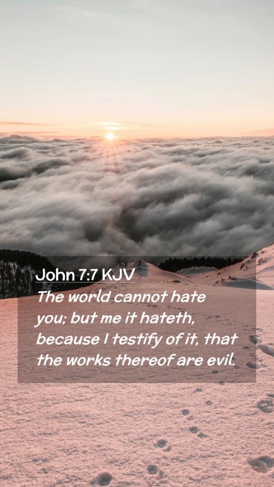 Picture 02 - John 7:7 KJV Mobile Phone Wallpaper - The world cannot hate you; but me it hateth, - Mobile Bible Verse Wallpaper
