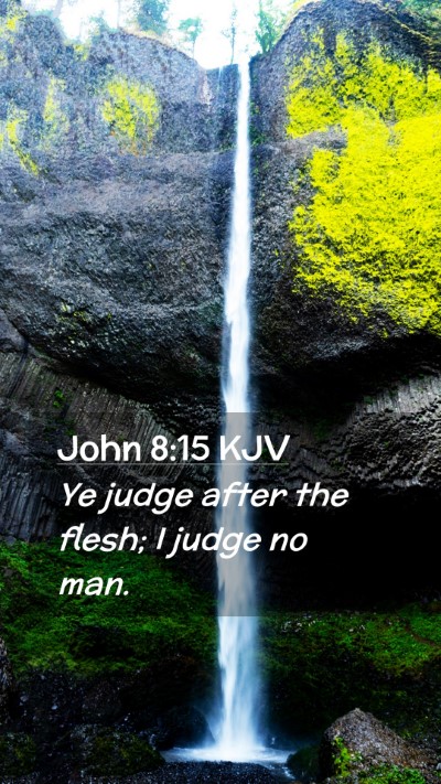 Picture 02 - John 8:15 KJV Mobile Phone Wallpaper - Ye judge after the flesh; I judge no - Mobile Bible Verse Wallpaper