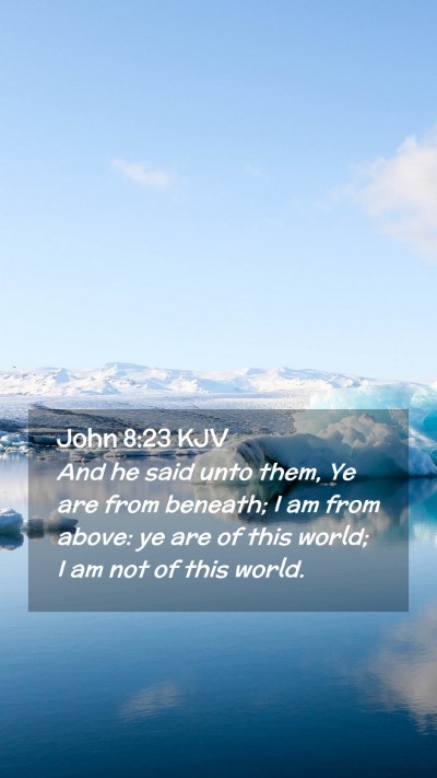 Picture 02 - John 8:23 KJV Mobile Phone Wallpaper - And he said unto them, Ye are from beneath; I am - Mobile Bible Verse Wallpaper