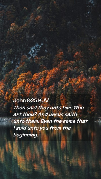 Picture 02 - John 8:25 KJV Mobile Phone Wallpaper - Then said they unto him, Who art thou? And Jesus - Mobile Bible Verse Wallpaper