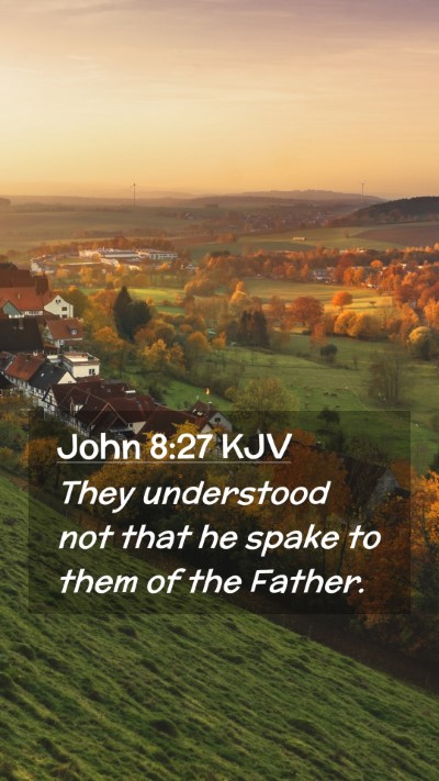 Picture 02 - John 8:27 KJV Mobile Phone Wallpaper - They understood not that he spake to them of the - Mobile Bible Verse Wallpaper