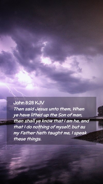 Picture 02 - John 8:28 KJV Mobile Phone Wallpaper - Then said Jesus unto them, When ye have lifted up - Mobile Bible Verse Wallpaper