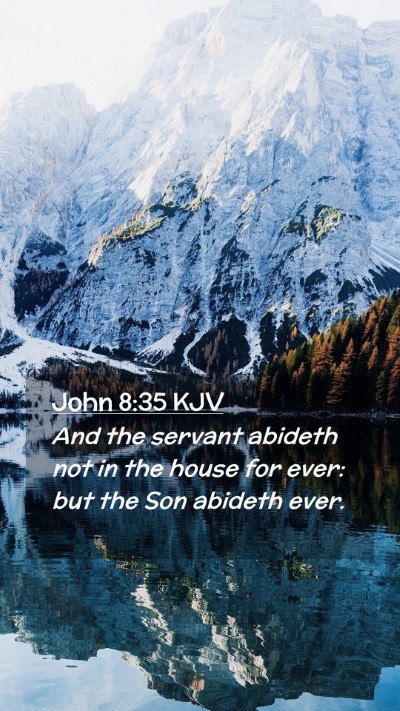 Picture 02 - John 8:35 KJV Mobile Phone Wallpaper - And the servant abideth not in the house for - Mobile Bible Verse Wallpaper