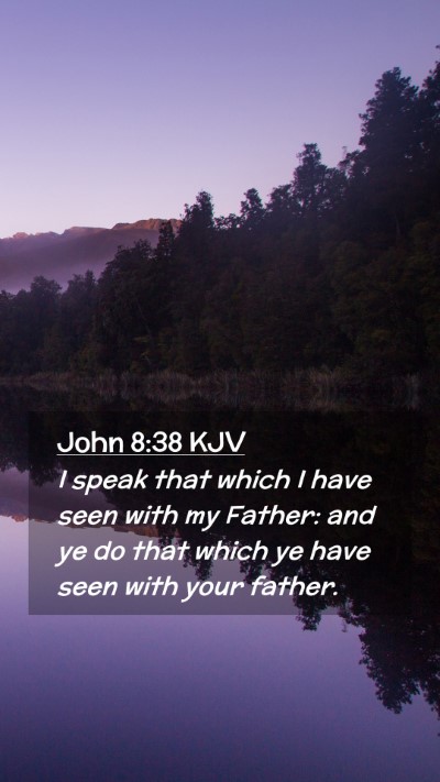 Picture 02 - John 8:38 KJV Mobile Phone Wallpaper - I speak that which I have seen with my Father: - Mobile Bible Verse Wallpaper
