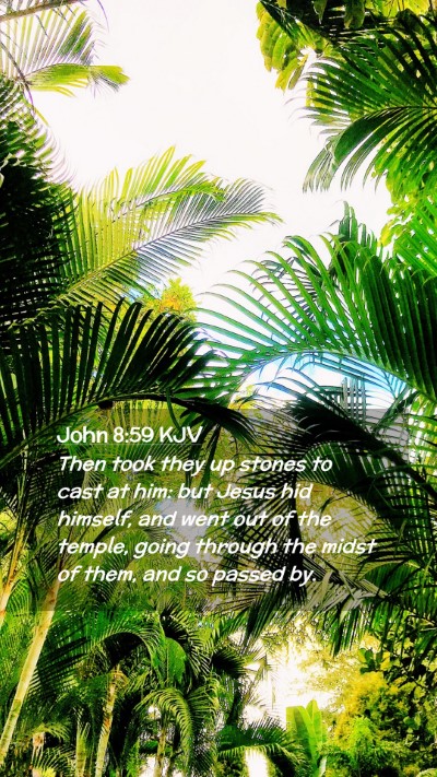Picture 02 - John 8:59 KJV Mobile Phone Wallpaper - Then took they up stones to cast at him: but - Mobile Bible Verse Wallpaper