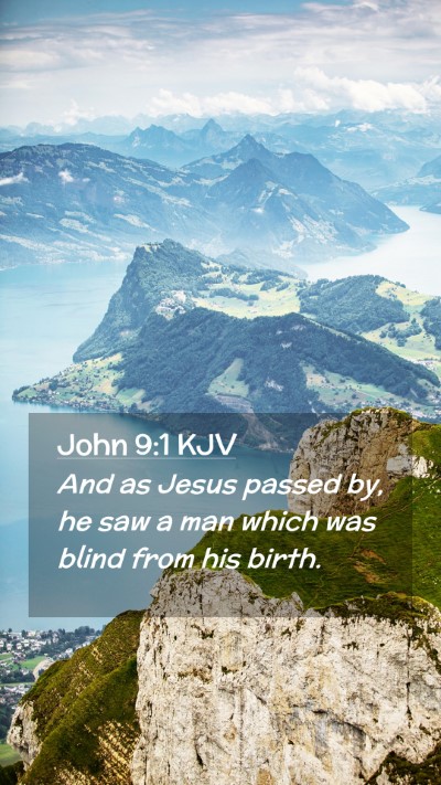 Picture 02 - John 9:1 KJV Mobile Phone Wallpaper - And as Jesus passed by, he saw a man which was - Mobile Bible Verse Wallpaper