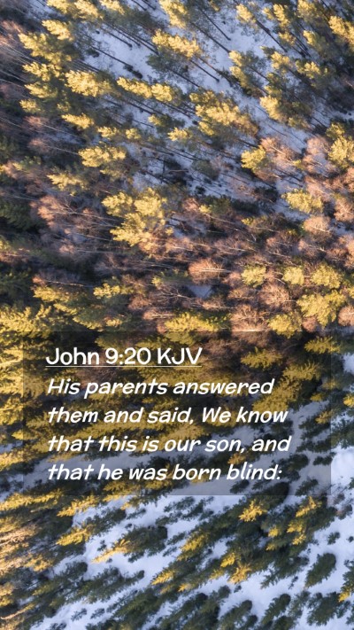 Picture 02 - John 9:20 KJV Mobile Phone Wallpaper - His parents answered them and said, We know that - Mobile Bible Verse Wallpaper