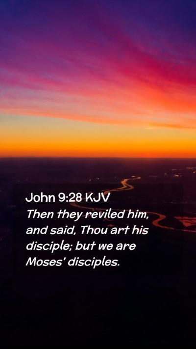 Picture 02 - John 9:28 KJV Mobile Phone Wallpaper - Then they reviled him, and said, Thou art his - Mobile Bible Verse Wallpaper