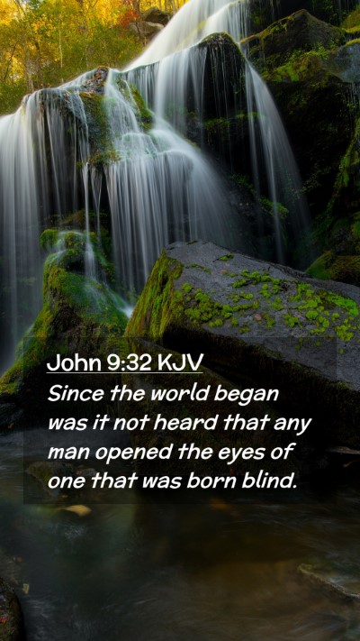 Picture 02 - John 9:32 KJV Mobile Phone Wallpaper - Since the world began was it not heard that any - Mobile Bible Verse Wallpaper