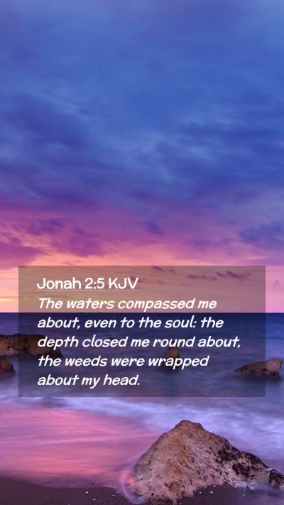 Picture 02 - Jonah 2:5 KJV Mobile Phone Wallpaper - The waters compassed me about, even to the soul: - Mobile Bible Verse Wallpaper