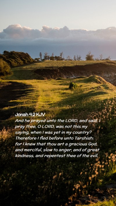 Picture 02 - Jonah 4:2 KJV Mobile Phone Wallpaper - And he prayed unto the LORD, and said, I pray - Mobile Bible Verse Wallpaper