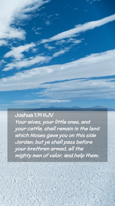 Picture 02 - Joshua 1:14 KJV Mobile Phone Wallpaper - Your wives, your little ones, and your cattle, - Mobile Bible Verse Wallpaper