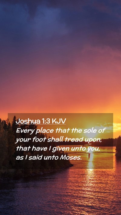 Picture 02 - Joshua 1:3 KJV Mobile Phone Wallpaper - Every place that the sole of your foot shall - Mobile Bible Verse Wallpaper
