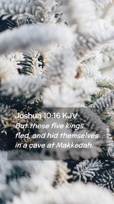 Picture 02 - Joshua 10:16 KJV Mobile Phone Wallpaper - But these five kings fled, and hid themselves in - Mobile Bible Verse Wallpaper