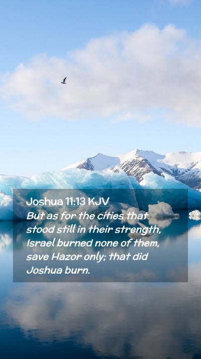 Picture 02 - Joshua 11:13 KJV Mobile Phone Wallpaper - But as for the cities that stood still in their - Mobile Bible Verse Wallpaper