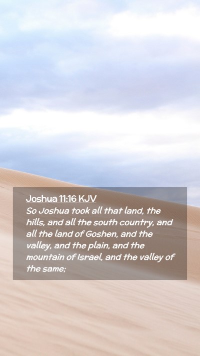 Picture 02 - Joshua 11:16 KJV Mobile Phone Wallpaper - So Joshua took all that land, the hills, and all - Mobile Bible Verse Wallpaper