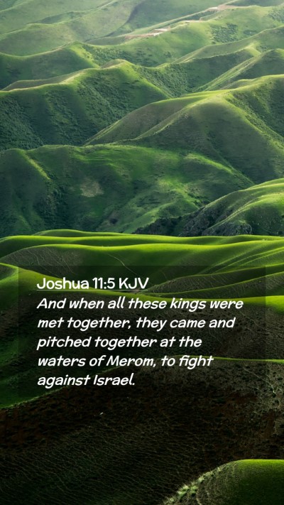 Picture 02 - Joshua 11:5 KJV Mobile Phone Wallpaper - And when all these kings were met together, they - Mobile Bible Verse Wallpaper
