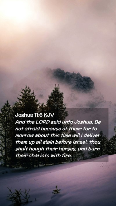 Picture 02 - Joshua 11:6 KJV Mobile Phone Wallpaper - And the LORD said unto Joshua, Be not afraid - Mobile Bible Verse Wallpaper