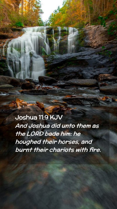 Picture 02 - Joshua 11:9 KJV Mobile Phone Wallpaper - And Joshua did unto them as the LORD bade him: he - Mobile Bible Verse Wallpaper
