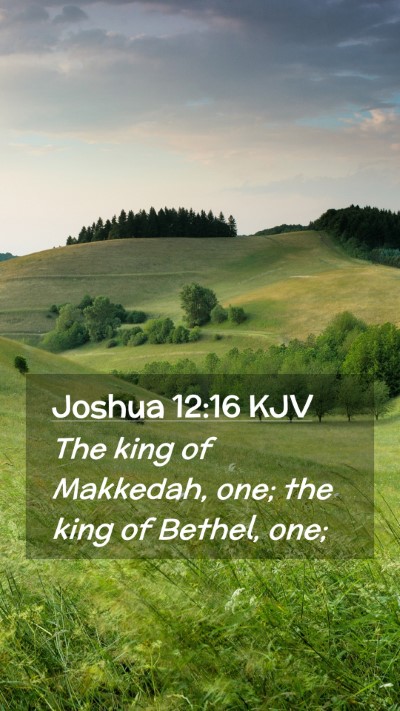 Picture 02 - Joshua 12:16 KJV Mobile Phone Wallpaper - The king of Makkedah, one; the king of Bethel, - Mobile Bible Verse Wallpaper